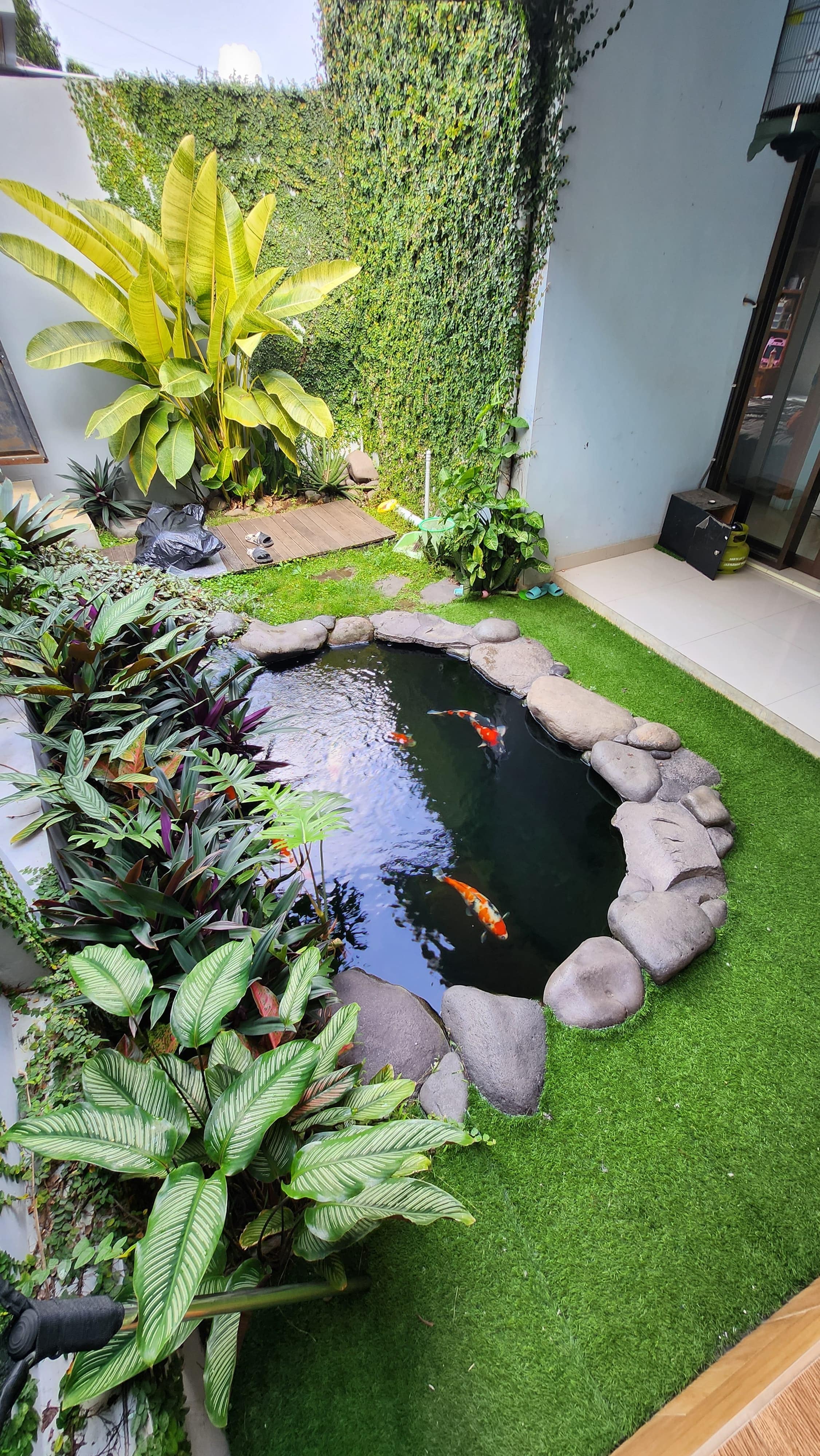 PERSIAPAN KARANTINA UNTUK IKAN BARU